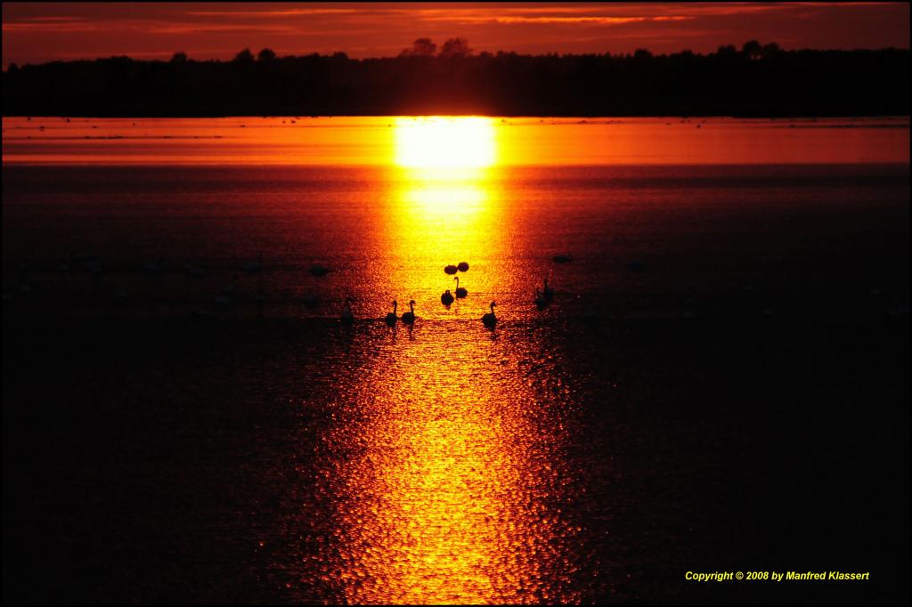 •Abendstimmung•
"Nationalpark Vorpommersche Boddenlandschaft" D300 mit Nikkor AF 2,8/80-200 IF D ED.
