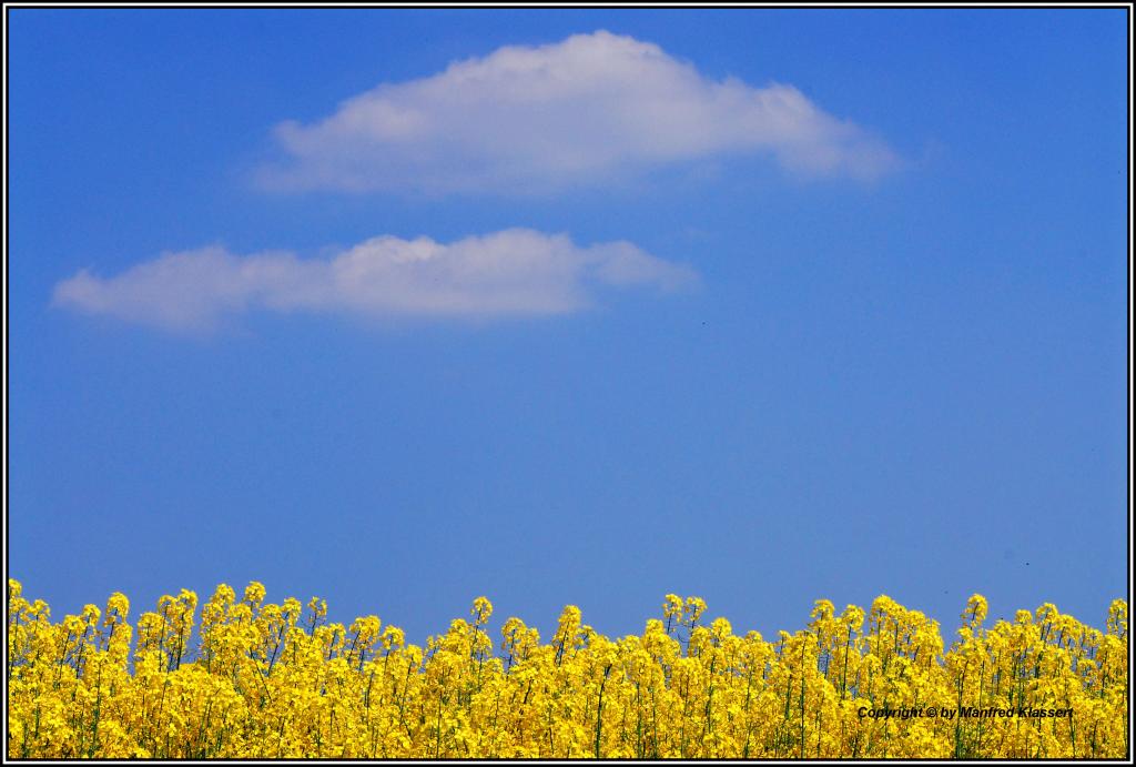•April•
"Nationalpark Kellerwald Edersee" 
D200 mit AF-S 3,4-4,5/18-70mm G IF ED.