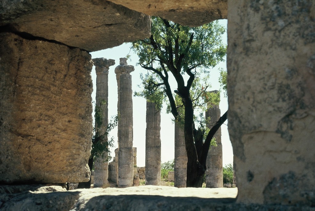 000071.jpg