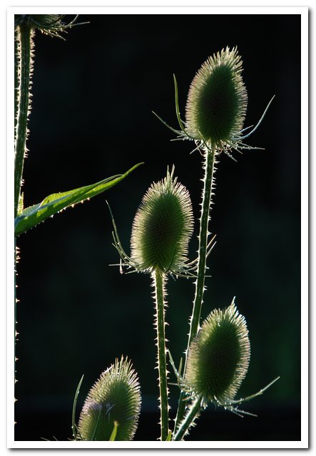 001 (3)