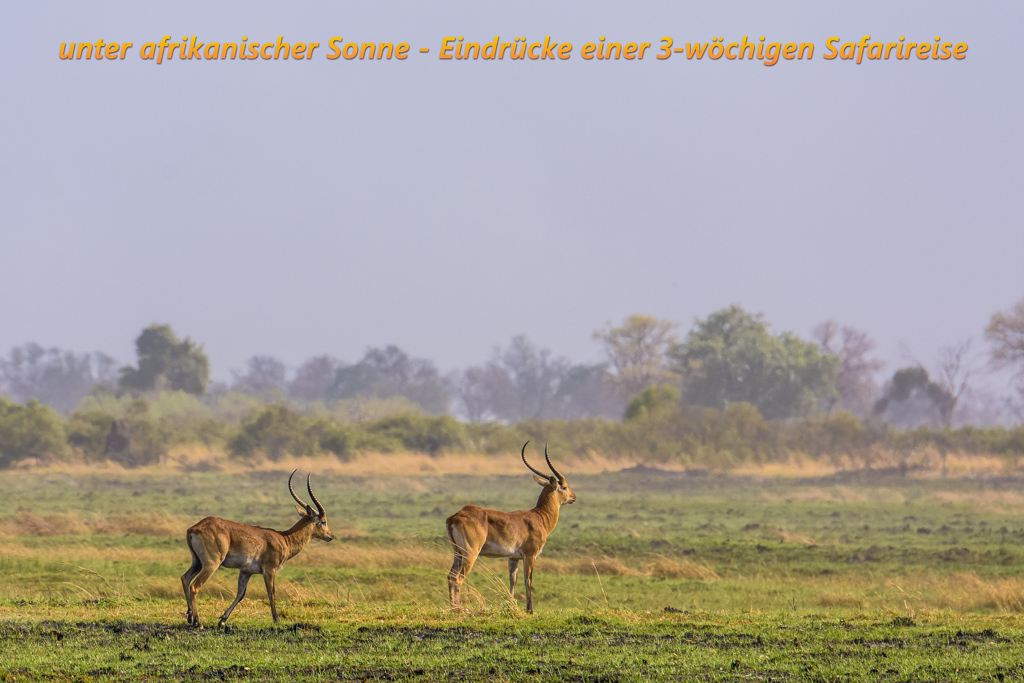 001 Titelbild