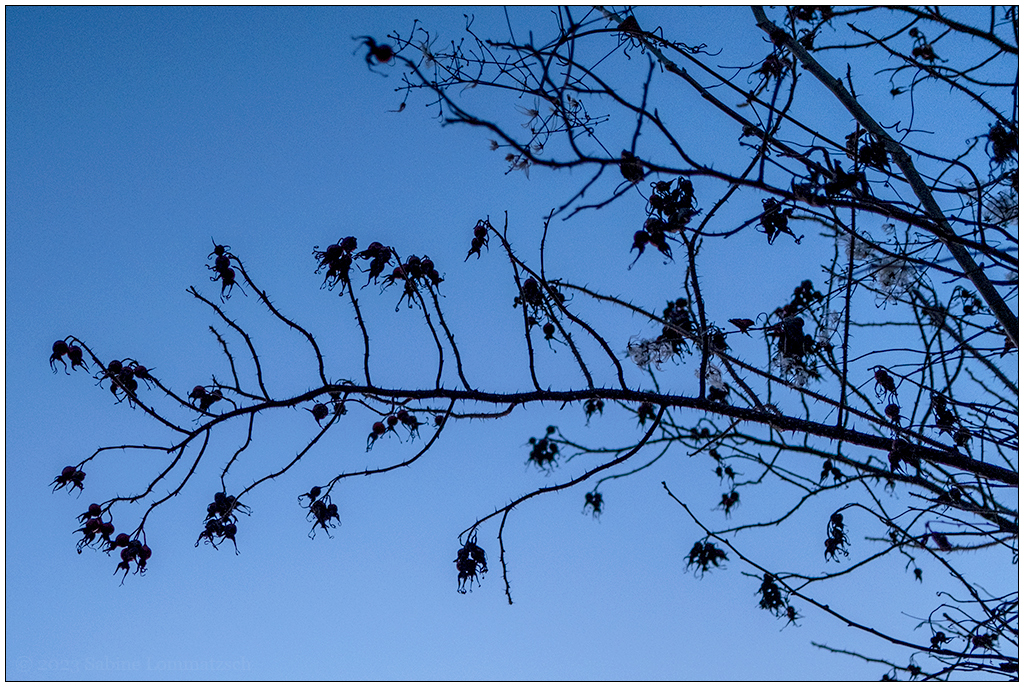 002 Blick nach oben
