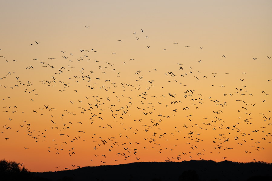 00320091015 184014  DSC6015Toskana