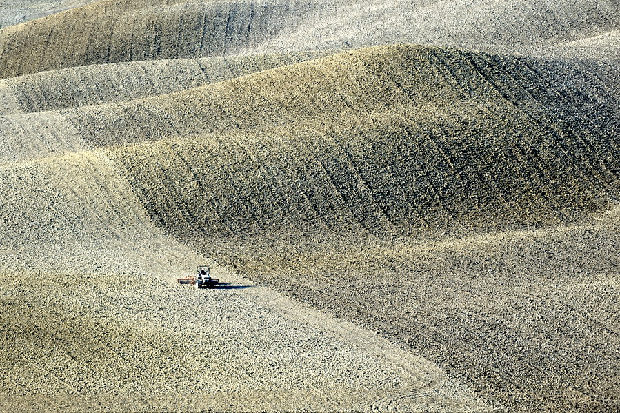 00520091016 090519  DSC6074Toskana
