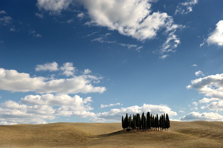 00820091016 151553  DSC6256Toskana