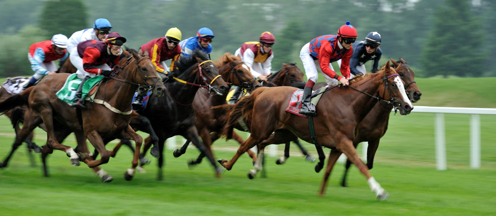 01 20100613 172606 galopp muenchen