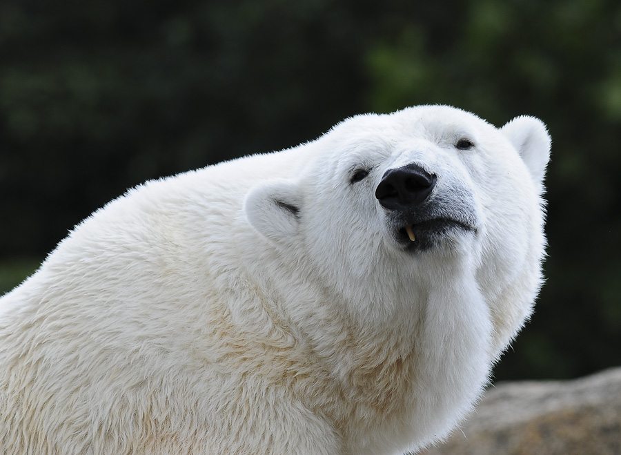 01. August 2011 2