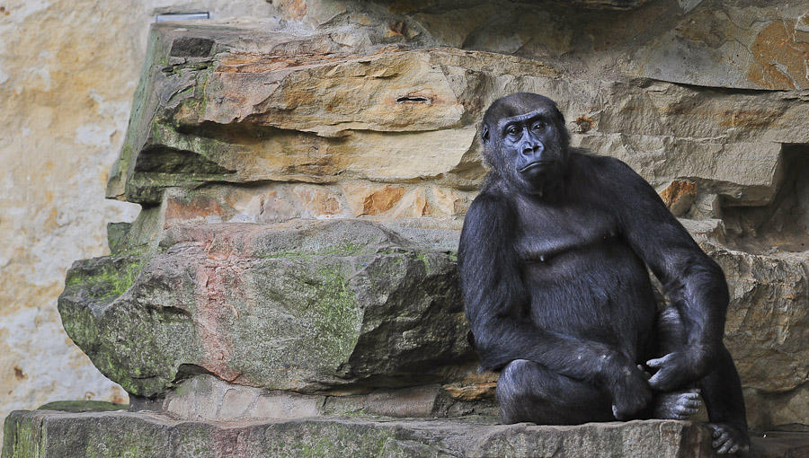 01. August 2011 3