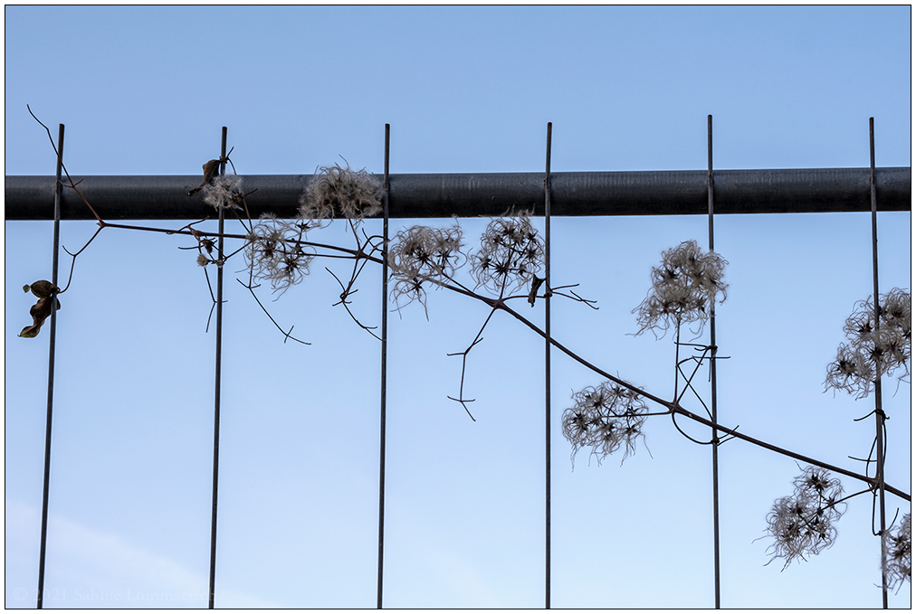 010 Blick zum Himmel
