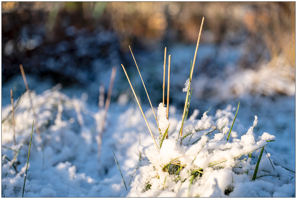010 Januar mit Schnee in der Bünte 1