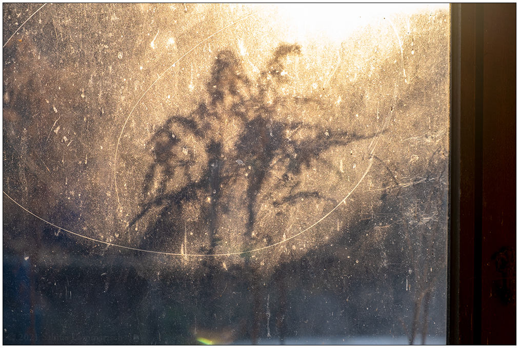 011 Wintersonne (und Fensterputzen wird überbewertet)