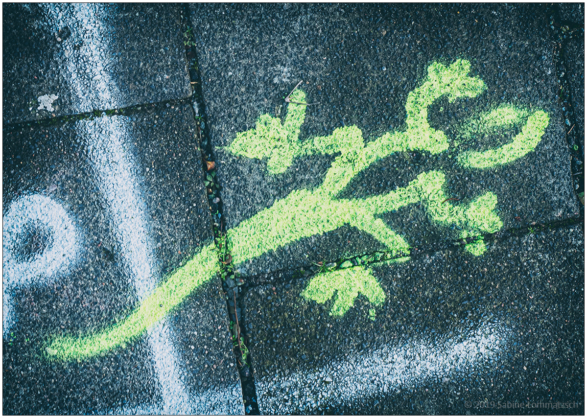 012 Gecko Street Art