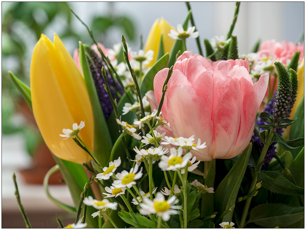 015 Blumenstrauß