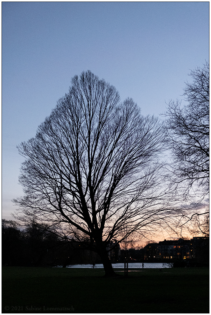 016 Winter im Kieler Schrevenpark