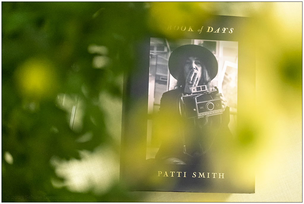 018 Patti Smith – Book of days