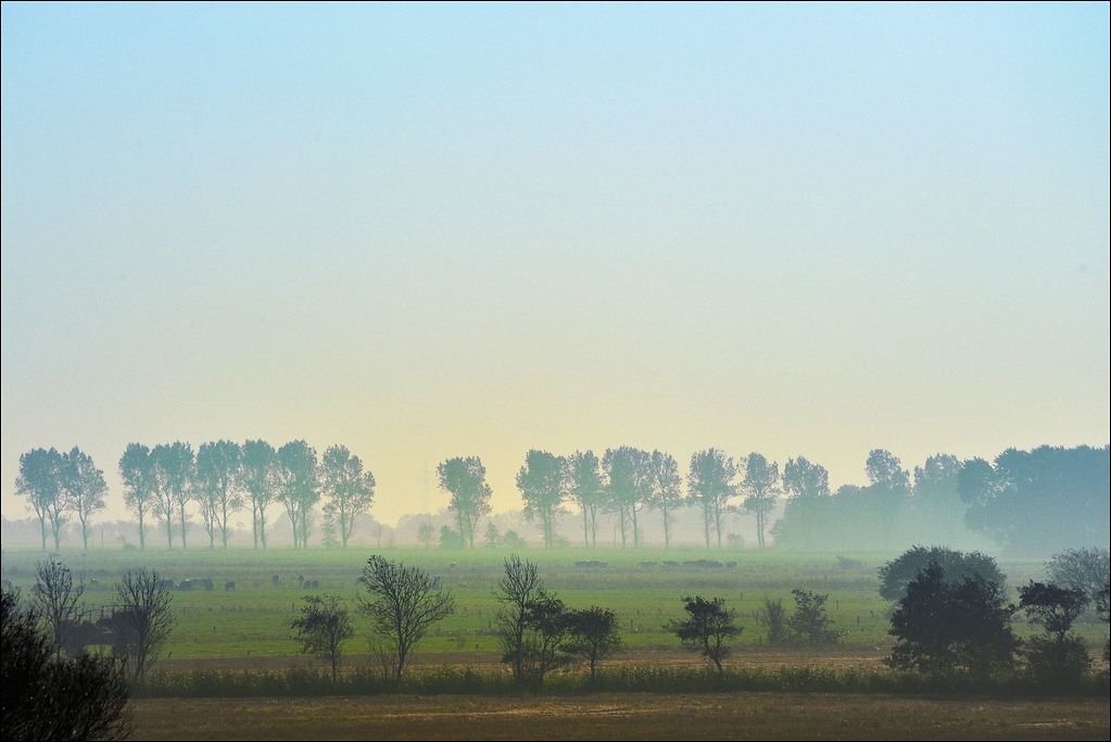02.10.2011 - bei Bensersiel