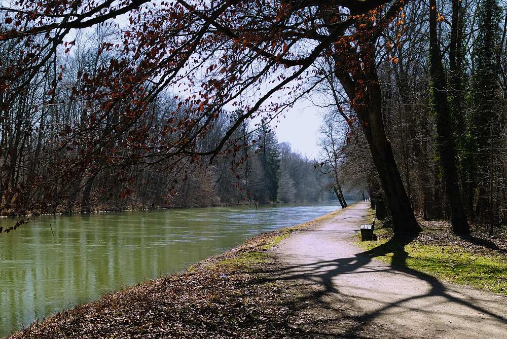 02 20100324 115202 fruehling