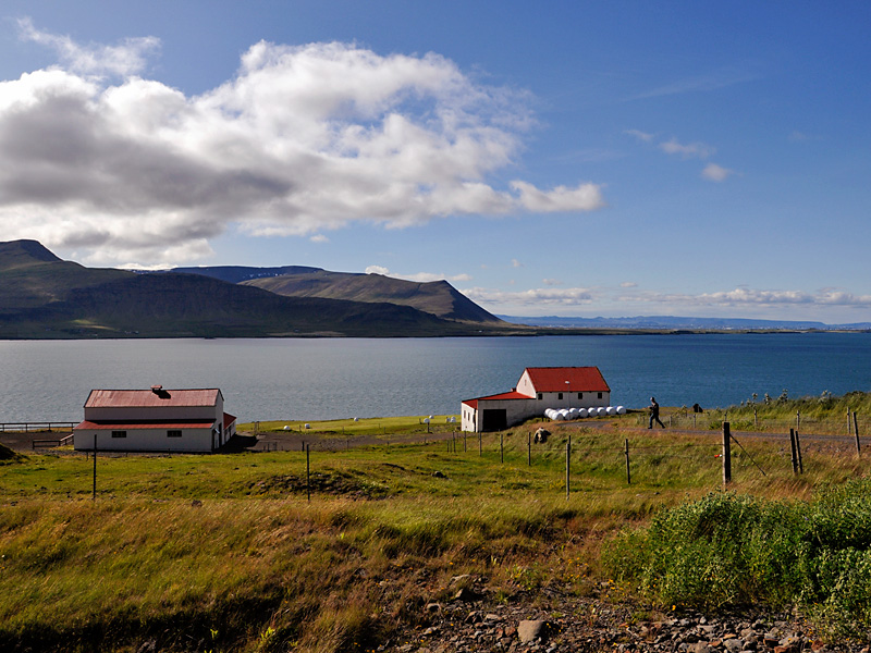 02 Am Borgafjord