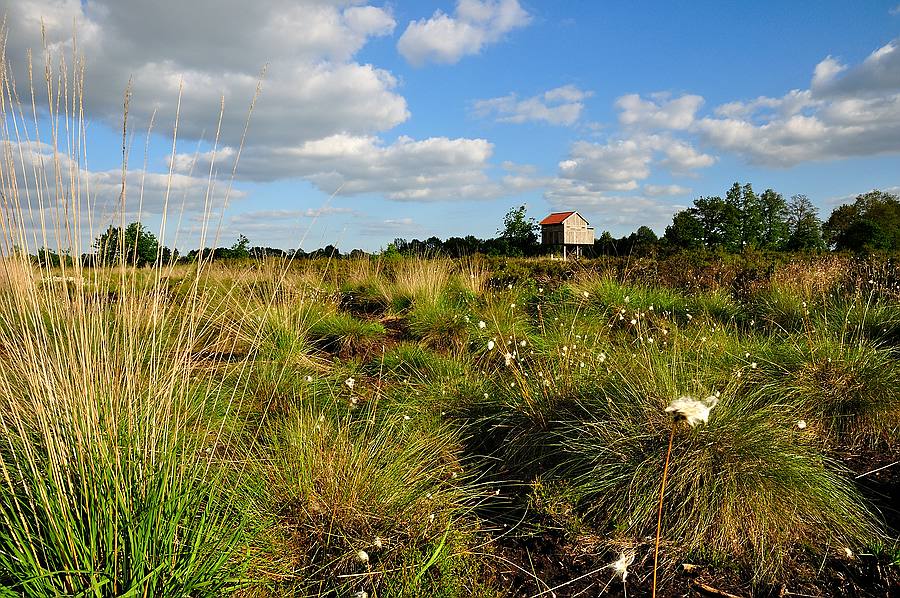 0208Recker Moor mit Aussicht entdecken