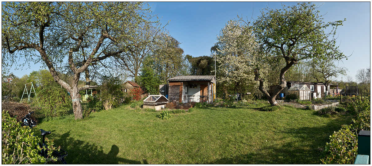 022 Schrebergarten - Frühling Panorama (aus vier Aufnahmen)