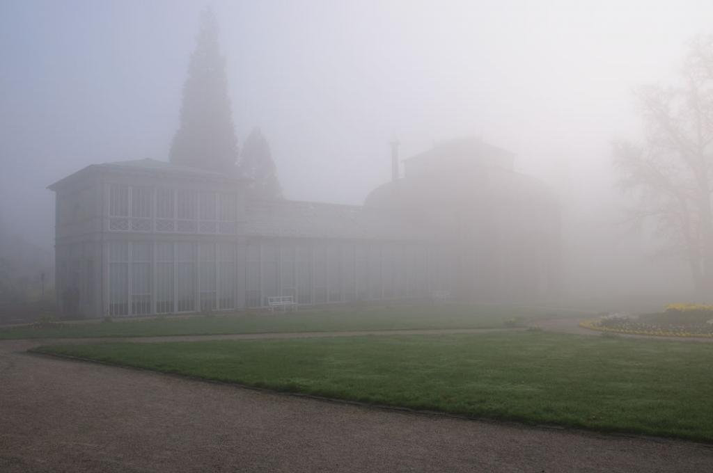 023 Gewächshaus im Nebel klein