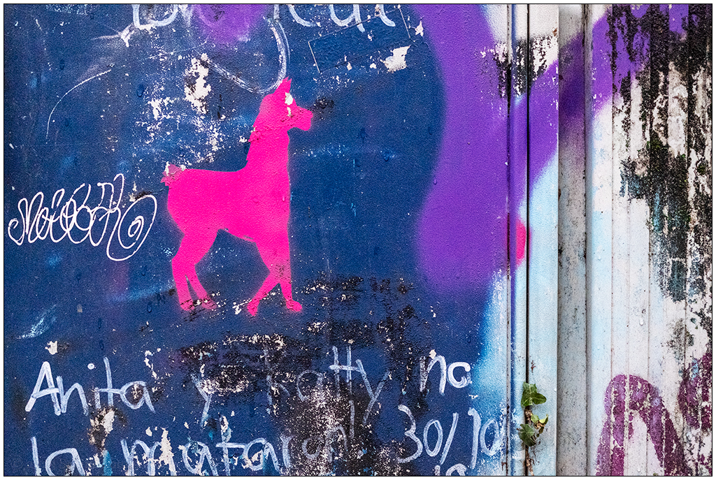 023 Graffiti-Tier