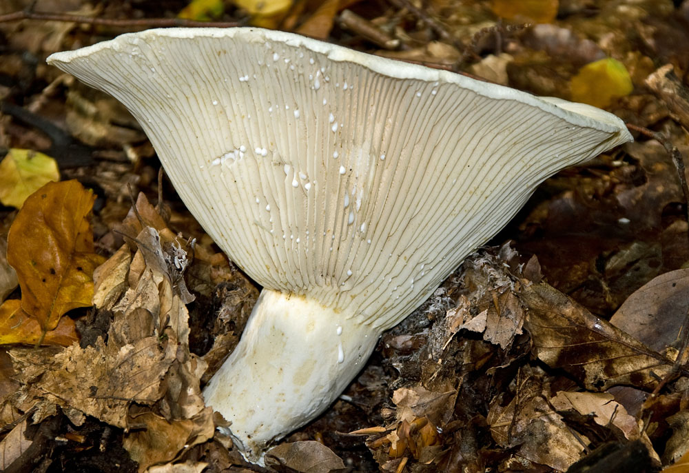 025 unbekannt