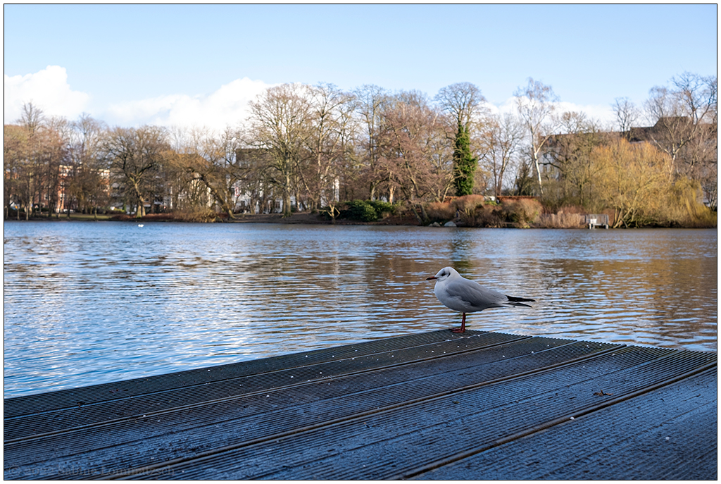 026 Eine Runde im Kieler Schrevenpark 05