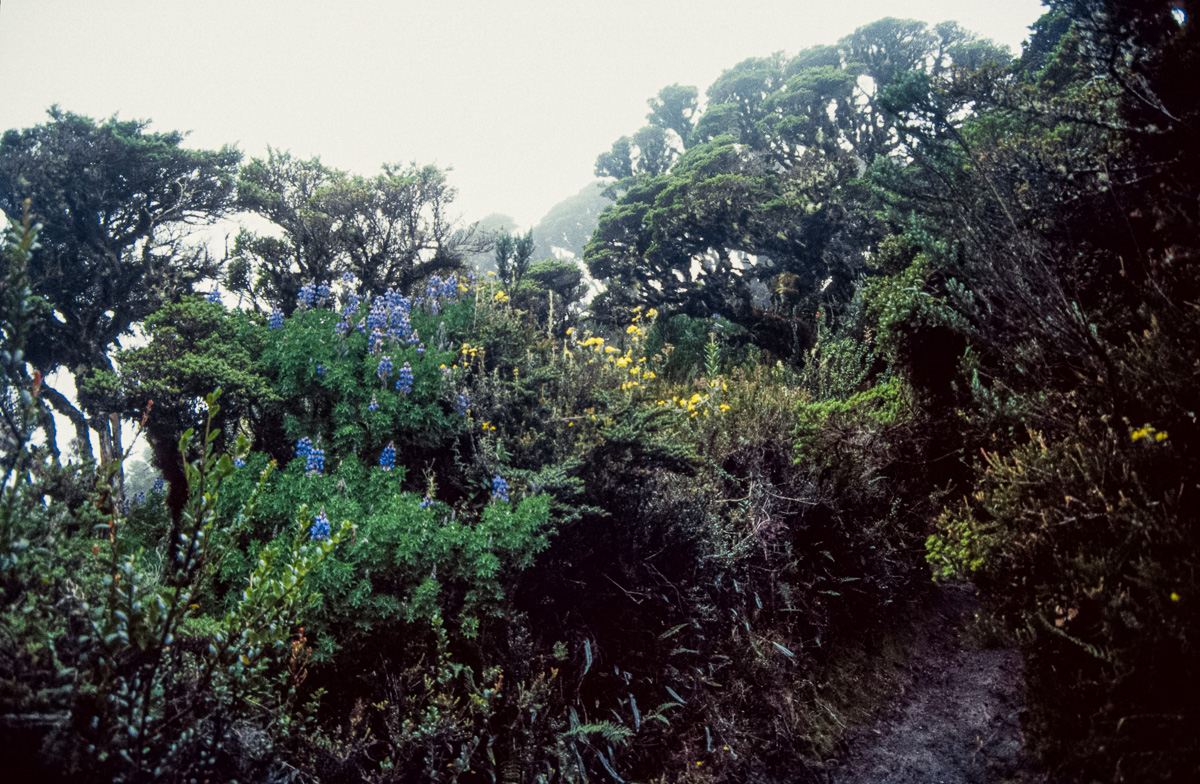 026_Ecuador_Galapagos_02_45.jpg