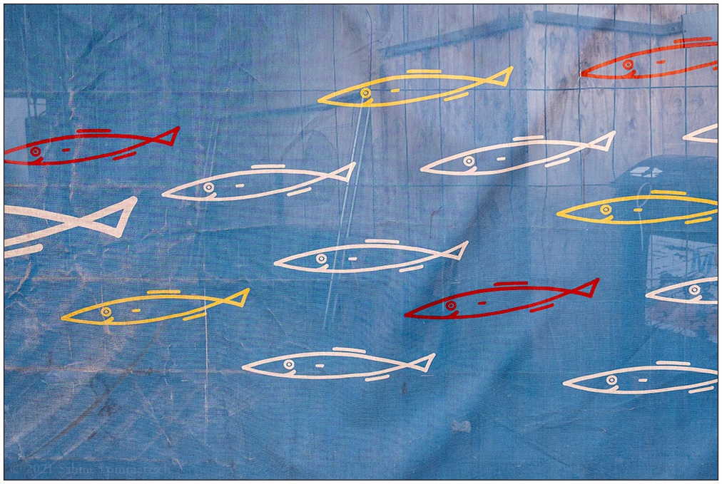 027 Fische am Bauzaun