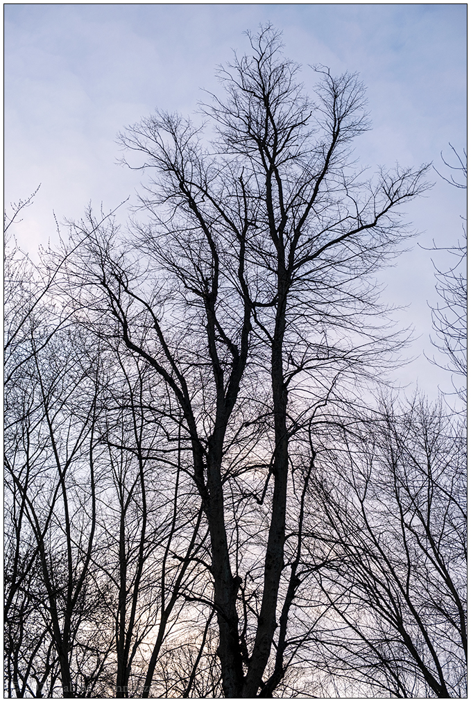 028 Am Schrevenpark
