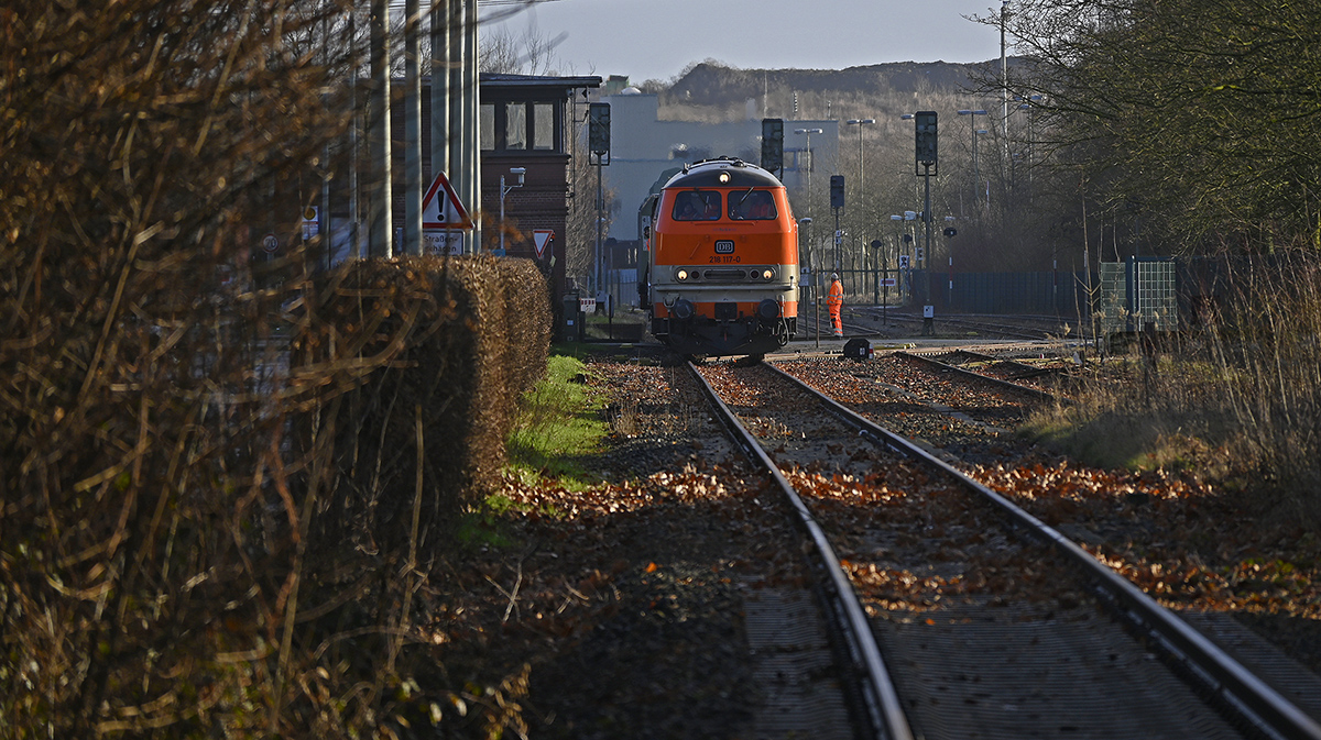 02_Z504380PAxl.jpg