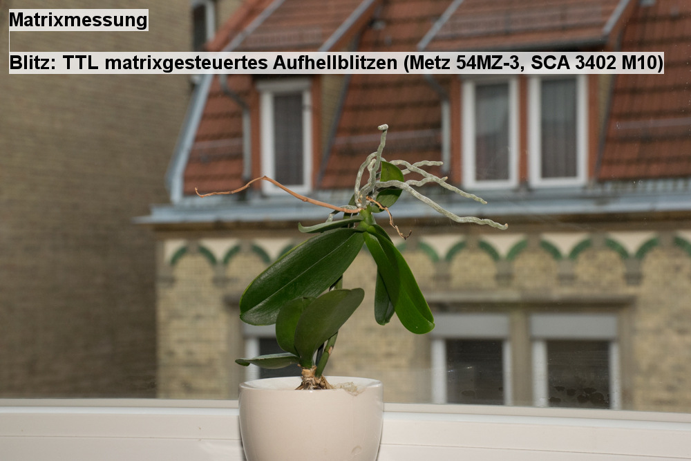 03   Matrixmessung   Blitz  TTL matrixgesteuertes Aufhellblitzen (Metz 54MZ 3, SCA 3402 M10)