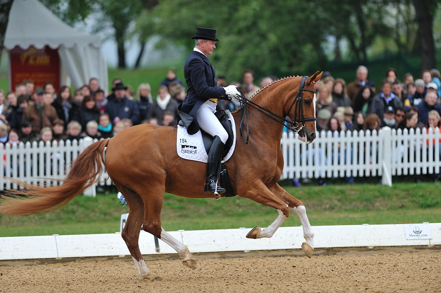 03 pferd internatio