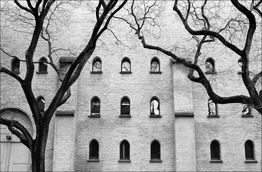 03 Strassburg Bäume3