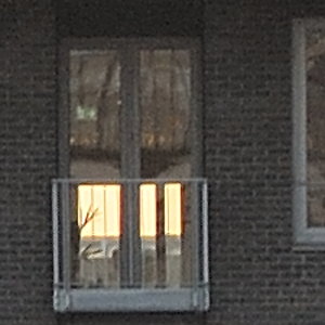 030 crop