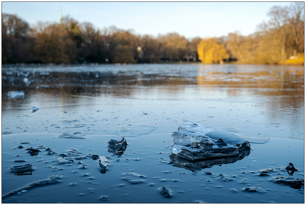 032 Wintertag im Schrevenpark I