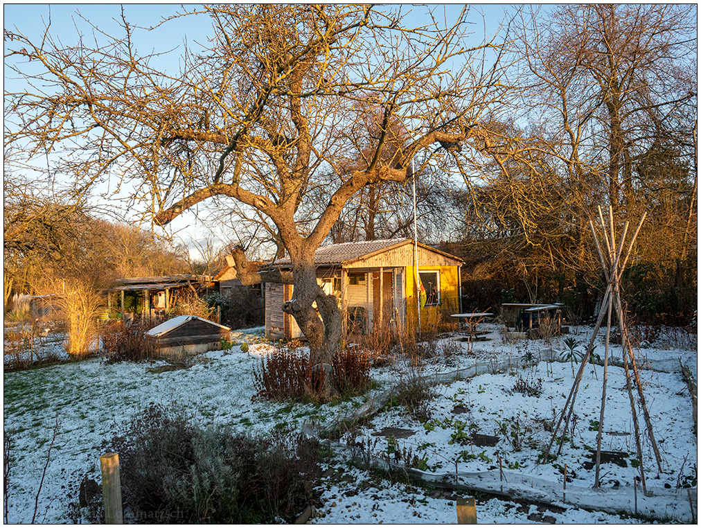 035 Schrebergarten im Winter