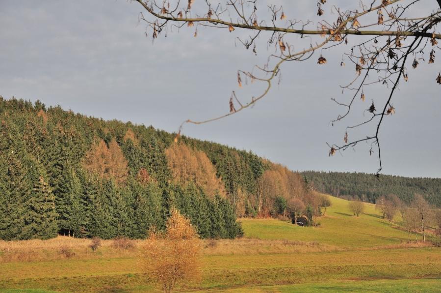 036 Anstieg aus Lauenstein, Impression