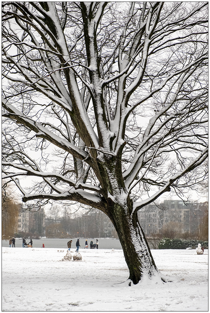 039 Im Kieler Schrevenpark 1