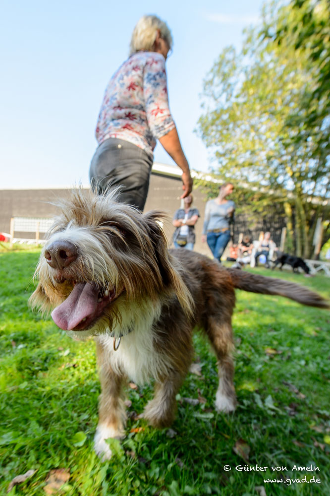 04.09.12 Hunde 117 WEB