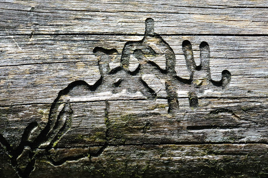04 20100604 111258 Deininger Weiher 1