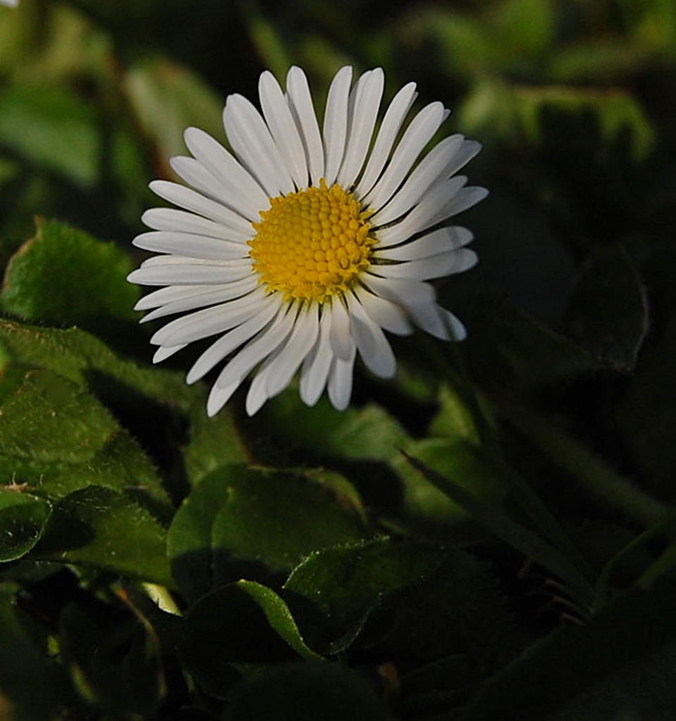 043