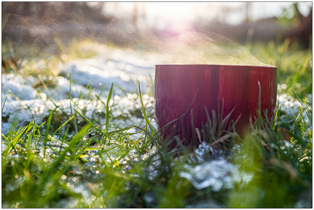 047 Aufn Tee im Schrebergarten