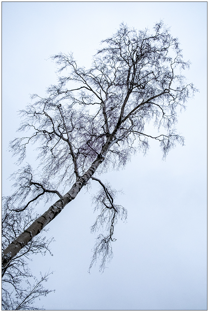 047 Im Kieler Schrevenpark 9