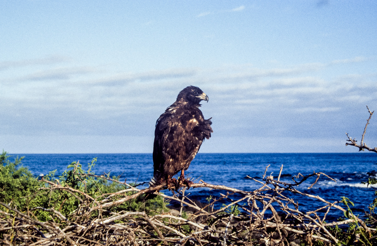 047_Ecuador_Galapagos_03_19.jpg