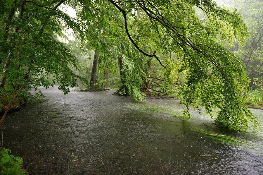 05 20100530 162059 wuerm starnberg