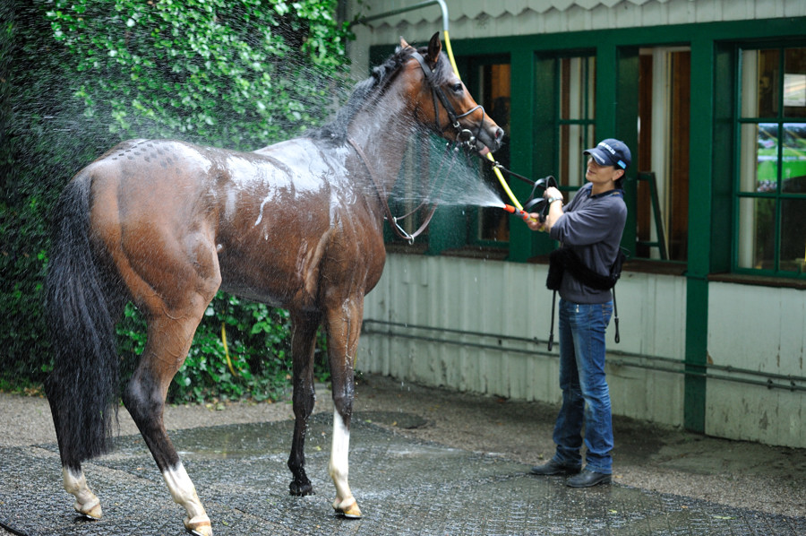 05 20100613 154610 galopp muenchen