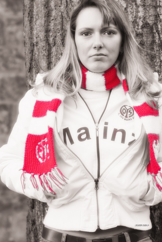 05-Fan