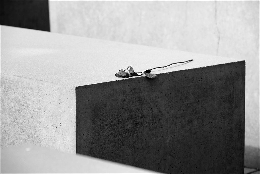 05  - Holocaust Mahnmal - Berlin 09-2012